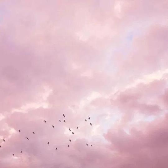 抖音背景图｜今天最火背景图