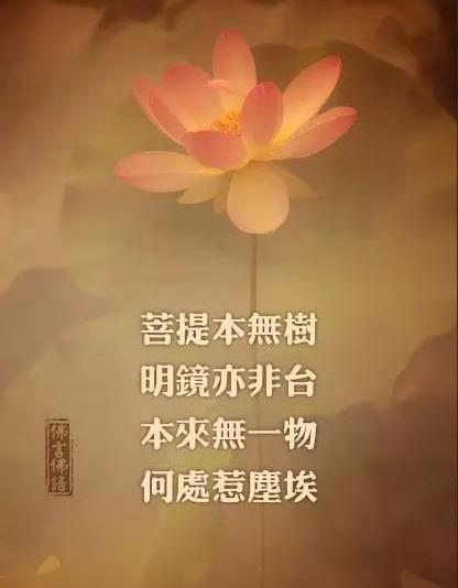 【白话佛法】