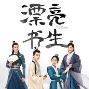 2020年智磊执导的电视剧