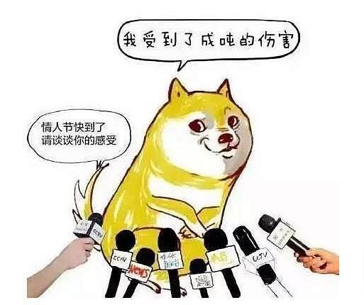 好了不说了,祝广大单身狗们七夕节日快乐!