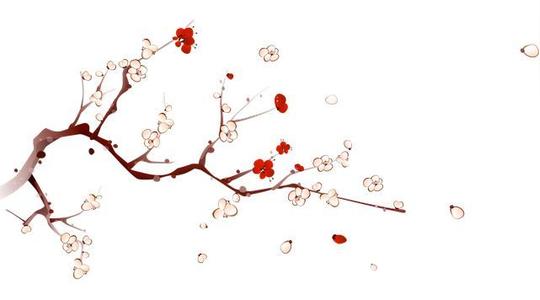 孝悌之至,《河洛家风》今日分享孝道故事.
