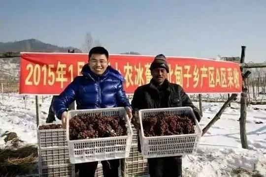 仅3万返乡创业,他靠冰葡萄年入千万!