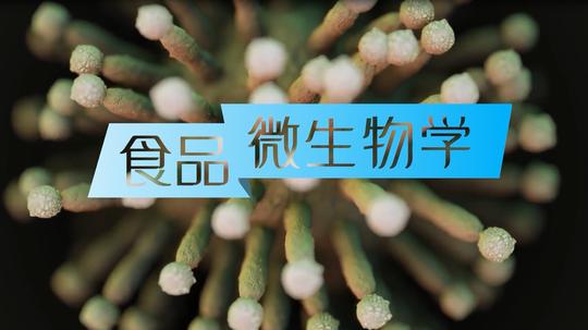 大学生创新创业2021年知道智慧树题目及答案