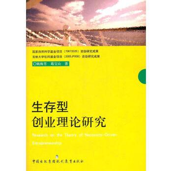 生存型创业理论研究姚梅芳,葛宝山著9787801965783现代教育出版社