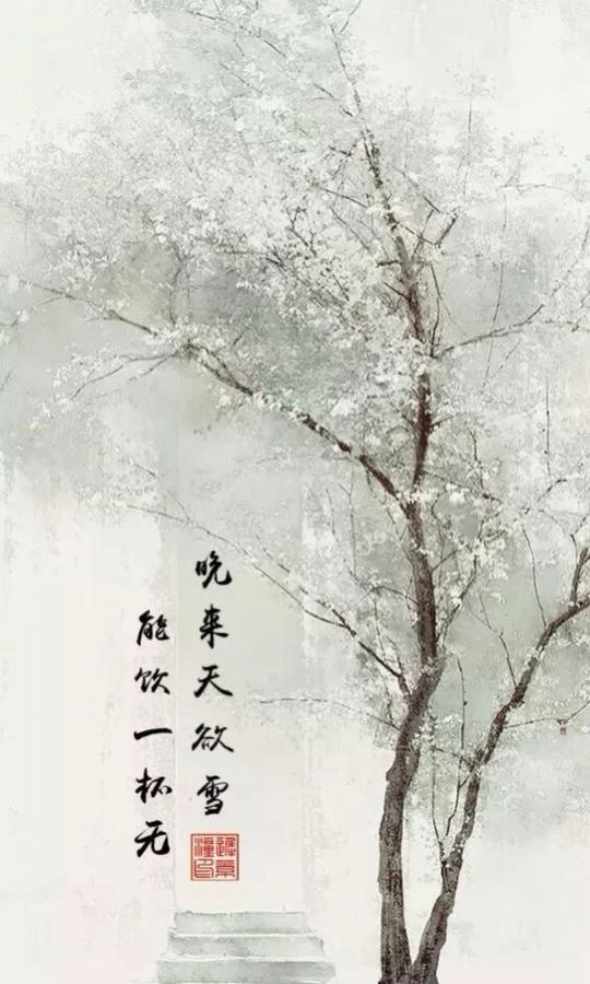 你的城市下雪了么#迟素潼#诗句#自制#古风