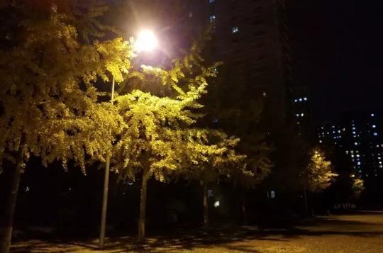 凌晨三点,他拖着行李走在北京的街头,家门口的第二盏路灯闪了几下
