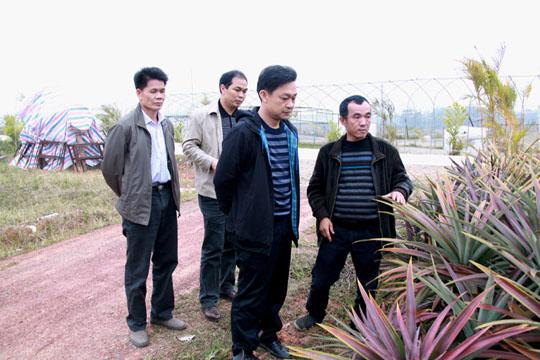 钦南区区长黄光发到台湾农民创业园检查调研工作