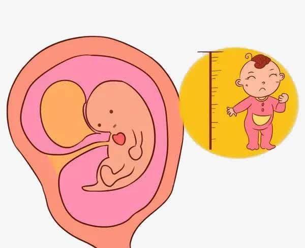 胎儿发育妈妈有什么症状