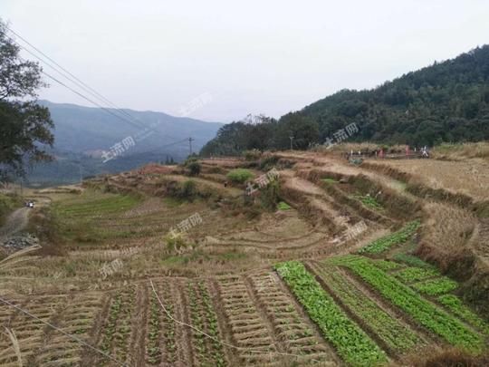 农村土地被承包后,农民将靠什么赚钱养家?承包后的补贴由谁领取?