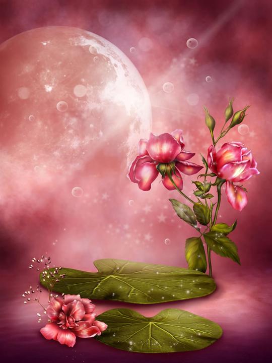 中秋,唯美,海报,背景,花卉,花朵,花草,月亮,素材,底纹,图片大全,图片