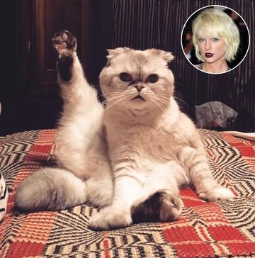 看不我大爽，极度不爽表情包