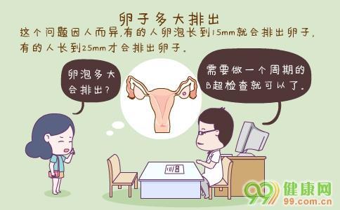 卵子多大排出才能受孕