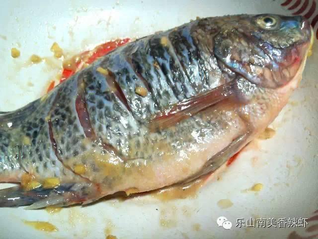 鲤鱼的做法大全