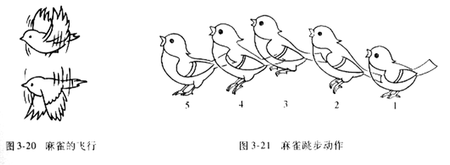 婴儿规律运动好不好
