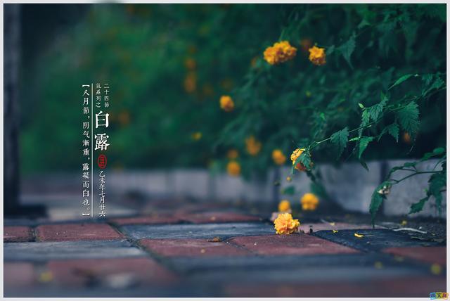 2019年白露说说朋友圈祝福语