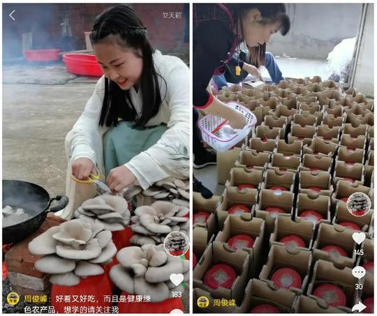社区开店难赚钱，短视频、直播难变现，9省花企高峰论坛专家支招