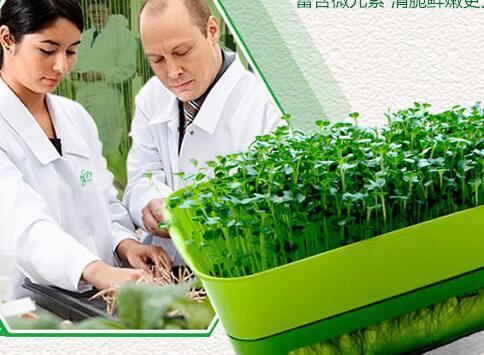 爽舌尖芽苗菜加盟
