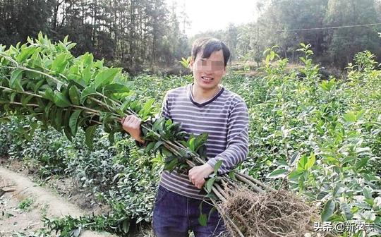 未来新农村创业，或可尝这三个项目，用途广前景好