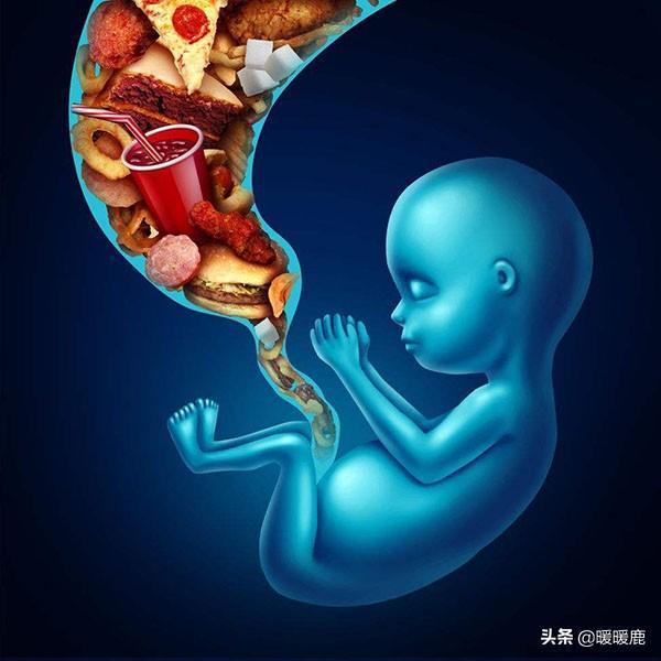 影响胎儿发育迟缓的原因