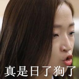 我真是日了狗了搞笑表情包