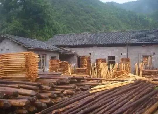 快回家!聊城农村最赚钱的10个项目出炉了,一大批人要富得流油了!