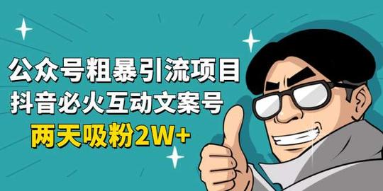 公众号粗暴引流项目:抖音必火互动文案号，两天吸粉2w+
