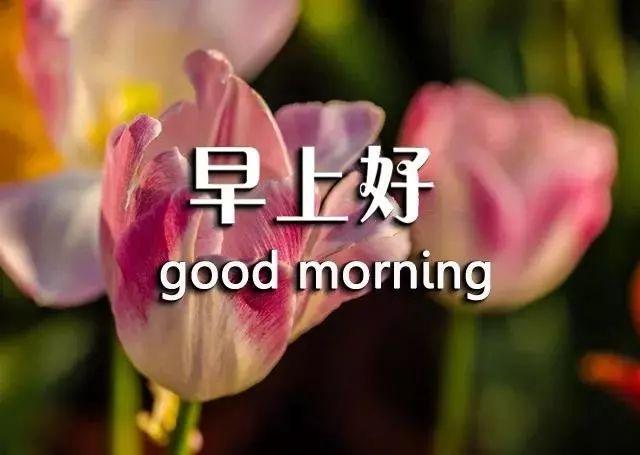 八月第一天早安说说朋友圈