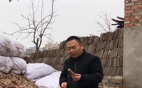 农村冷门能致富的种植业，零投资风险小，一年还能种四季的