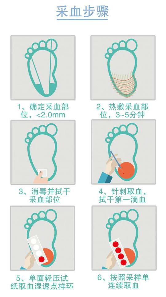 足跟血样本(血样标本采集卡)
