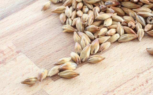 哺乳期必吃的12种食物