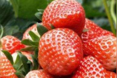 如何形容草莓？