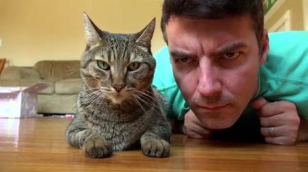铲屎官搞笑模仿自家臭脸的猫主子果断被嫌弃了