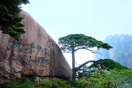 黄山迎客松图片素材_免费下载_jpg图片格式_vrf高清