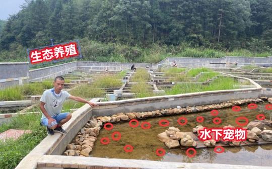 小伙建100多个水池做偏门养殖，年收入100万，看看他养的是什么?