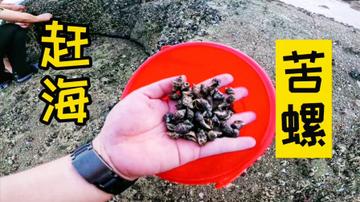 泉州市赶海去哪里