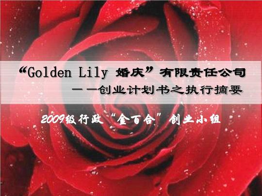 婚庆"有限责任公司——创业计划书之执行摘要2009级行政"金百合"