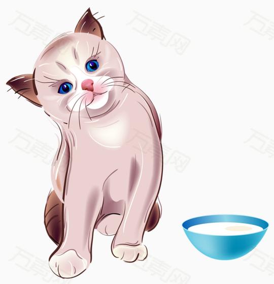 猫咪6771提示:素材预览有些模糊