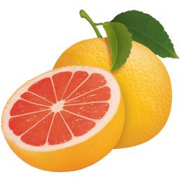 柚子素材柚子免抠png素材柚子透明png
