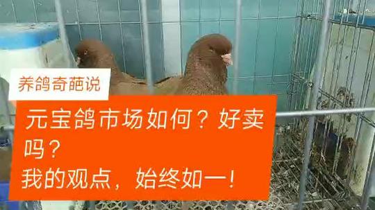 利润很吓人10个冷门养殖