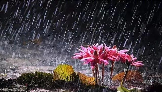 又下雨了心情说说发朋友圈