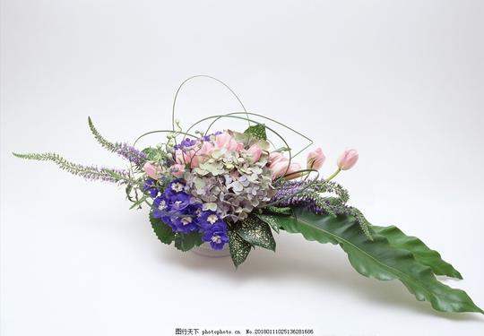 插花花艺鲜花花语园艺绿植摄影花草植物树木