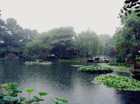 标准的江南味道,雨越下越大,心越来越静
