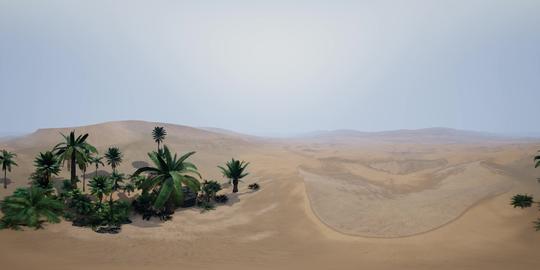 vr360全景视频vr360沙漠绿_4096x2048_高清视频素材