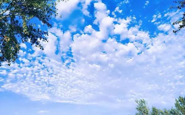 六,天上的云像一条龙用什么句子形容?