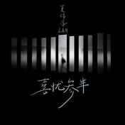 喜忧参半(夏伟淳LAH)