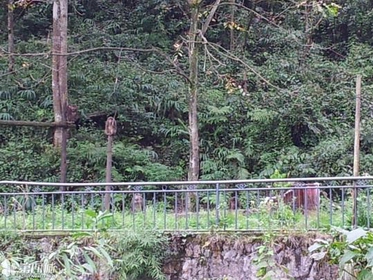求精求荐冷门西岭雪山前山冷水鱼花水湾温泉攻略嘛相因,人少,