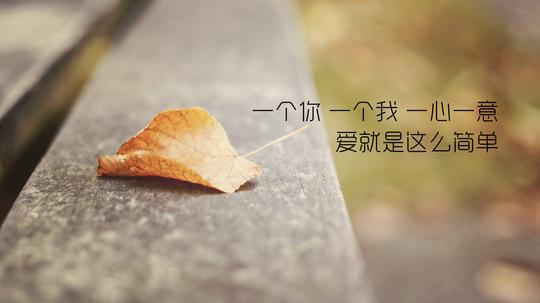 爱情图片带字_爱情带字图片大全