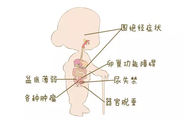 绝经期子宫出血的原因有哪些