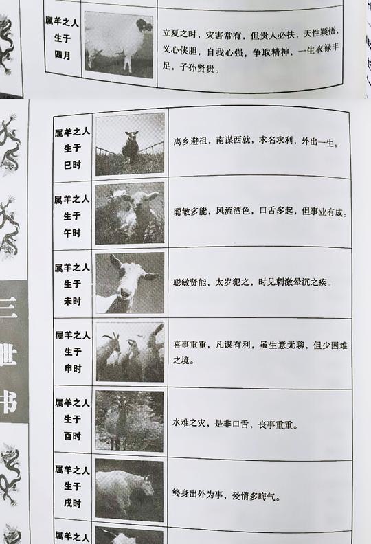 算三世书正版三世演禽风水古籍命理因果算命书籍诸葛亮著袁天罡【图片价格品牌评论】-京东