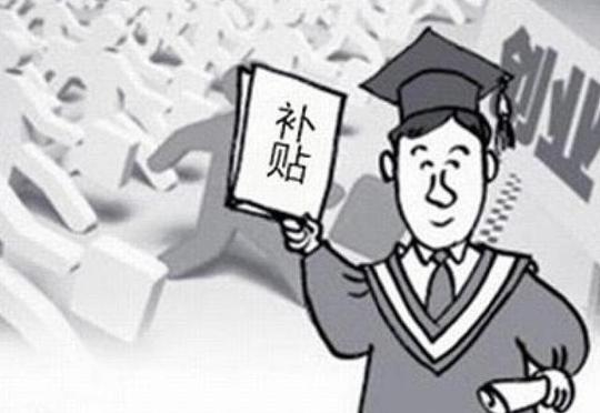 在回乡创业的过程中,国家会给予年轻人大量的支持,补贴就是其中的一